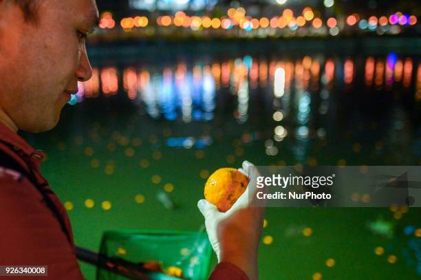 Malaysian ethnic Chinese men checks on the phone number on mandarin orange that he collects from the lake after being thrown by Chinese women,...