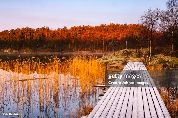 jetty at lake - autumn frost stock pictures, royalty-free photos & images