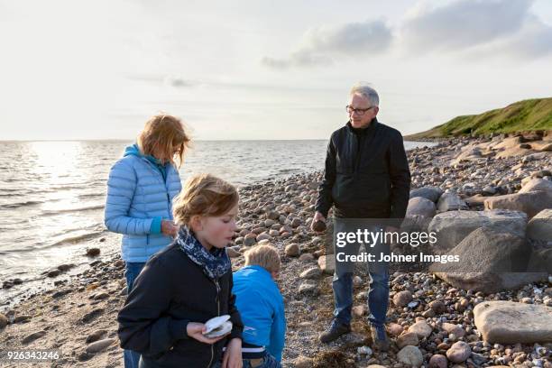 family on beach - spring denmark stock pictures, royalty-free photos & images