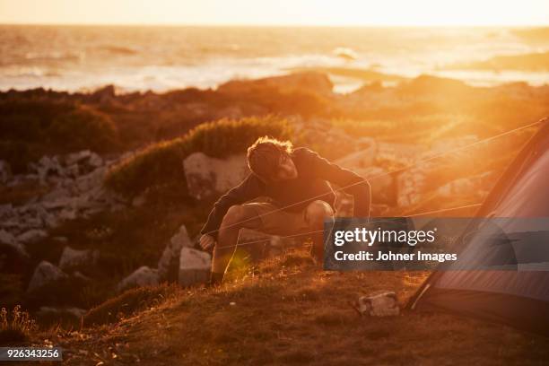 young man near tent - halland stock pictures, royalty-free photos & images