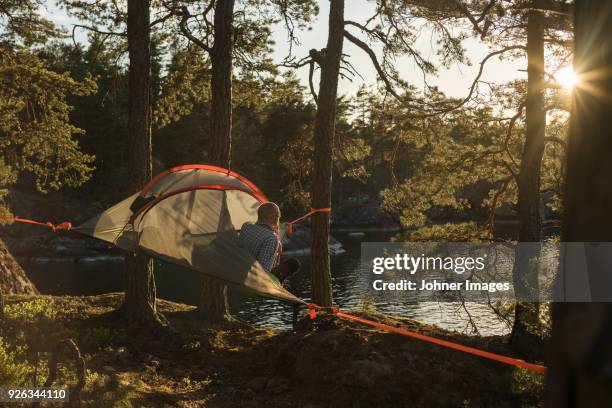 man at camping tent. - waldlichtung stock-fotos und bilder