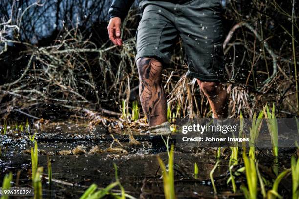 man walking through swamp, low section - boot stock pictures, royalty-free photos & images
