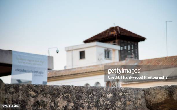 feral cat on roman ruins in córdoba, spain at twilight on a muggy day - highlywood stock pictures, royalty-free photos & images