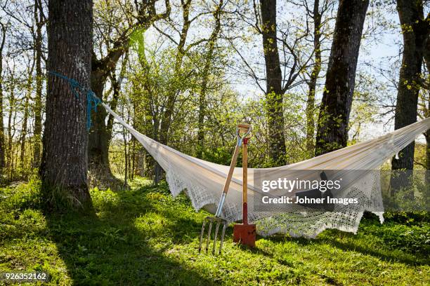 person resting in hammock - break photos et images de collection