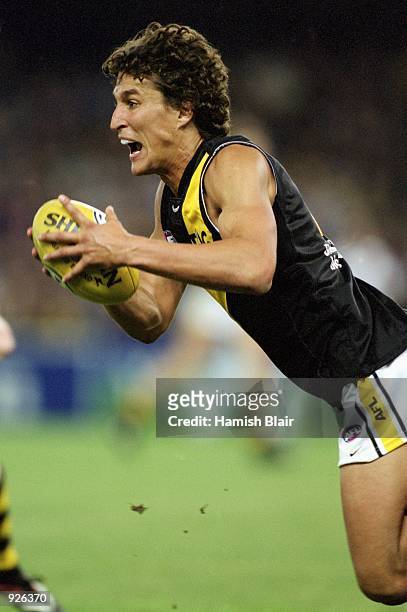 Darren Gasper for Richmond in action during round six of the AFL season match played between the Kangaroos and the Richmond Tigers held at Colonial...
