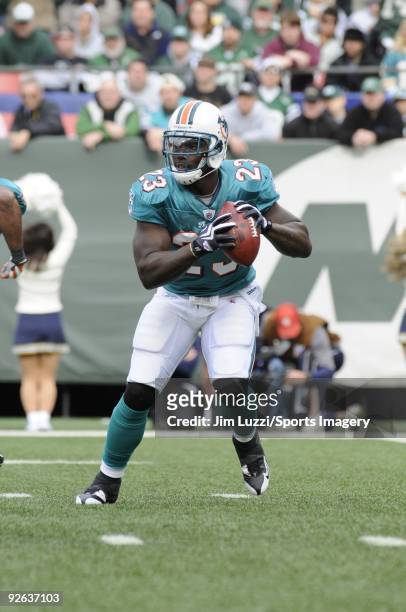 Ronnie Brown of the Miami Dolphins carries the ball during a game against the New York Jets at Giants Stadium on November 1, 2009 in East Rutherford,...