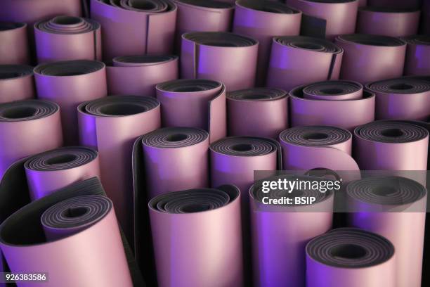 Rolled up pink yoga mats. France.