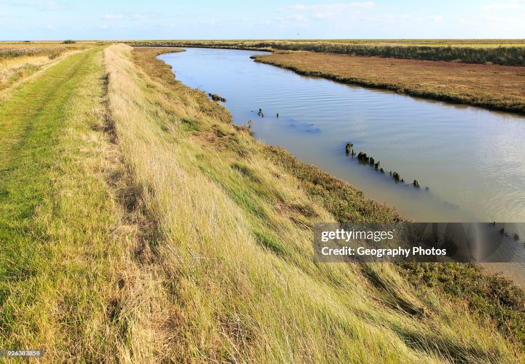 Landscape at high tide Barthorp's Creek, Hollesley Bay, near Shingle Street, Suffolk, England, UK