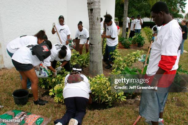 Students gardening at the Non-Violence Project USA, for Martin Luther King Day.