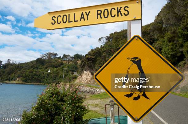 Penguin Sign 715 Penguin Sign Stock Photos, High-Res Pictures, and Images - Getty Images