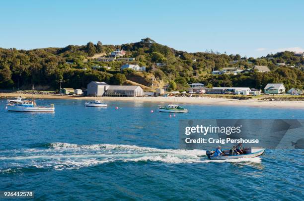three men in speedboat in halfmoon bay. - new zealand beach house stock pictures, royalty-free photos & images