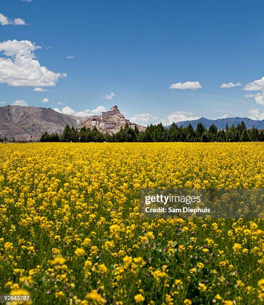 Chodee 141 What Is A Chode Picture Stock Photos, High-Res Pictures, and Images ...