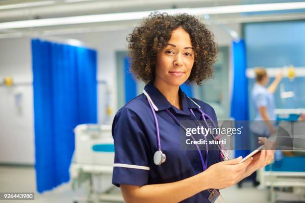 serious nursing manager - nurse manager stock pictures, royalty-free photos & images