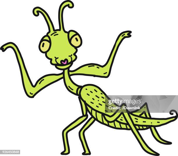 hand drawn praying mantis - praying mantis stock illustrations