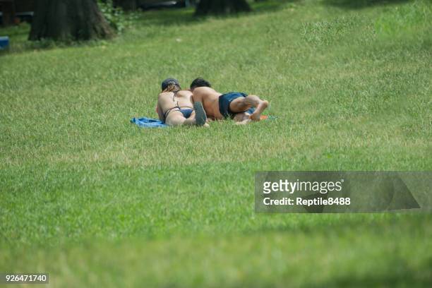 sunbathing in a park - skimpy bathing suits stock pictures, royalty-free photos & images