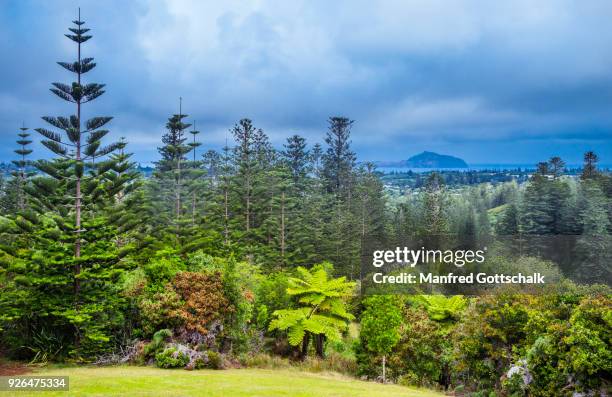 island view palm glen norfolk island - palm island australia stock pictures, royalty-free photos & images