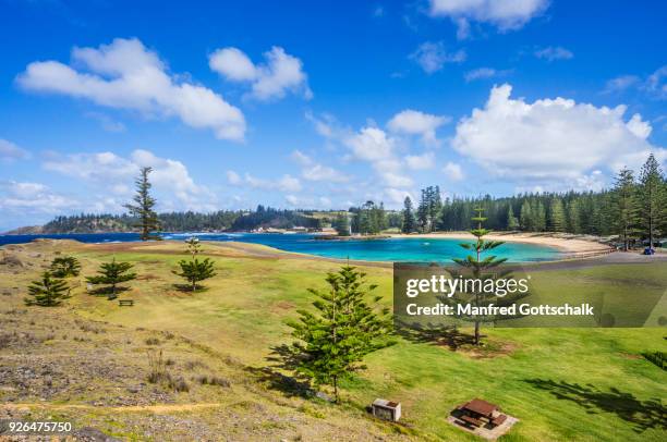 picnic ground at emily bay norfolk island - norfolk island stock pictures, royalty-free photos & images
