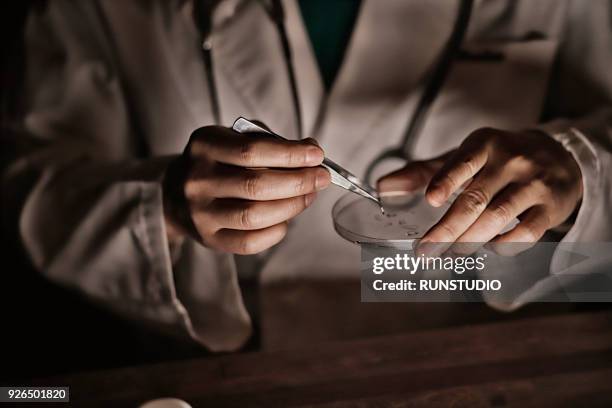 close up of doctor holding tweezers and petri dish - drug discovery stock pictures, royalty-free photos & images