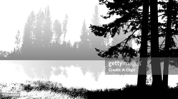 serene lake hidden in the pines - lake waterfowl stock illustrations