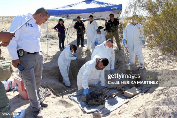 Experts from the Chihuahua state Prosecutor's Office work in a clandestine grave where the remains of two people were found in the desert of the...