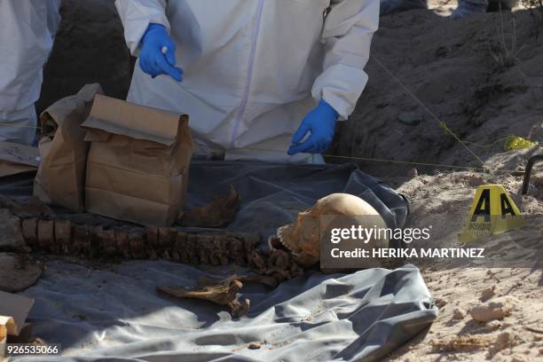 Experts from the Chihuahua state Prosecutor's Office work in a clandestine grave where the remains of two people were found in the desert of the...