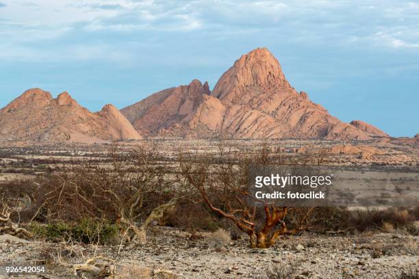mount spitzkoppe - namibia - fotoclick stock pictures, royalty-free photos & images