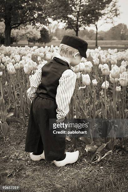 dutch boy smelling tulips black and white - typical dutch stock pictures, royalty-free photos & images