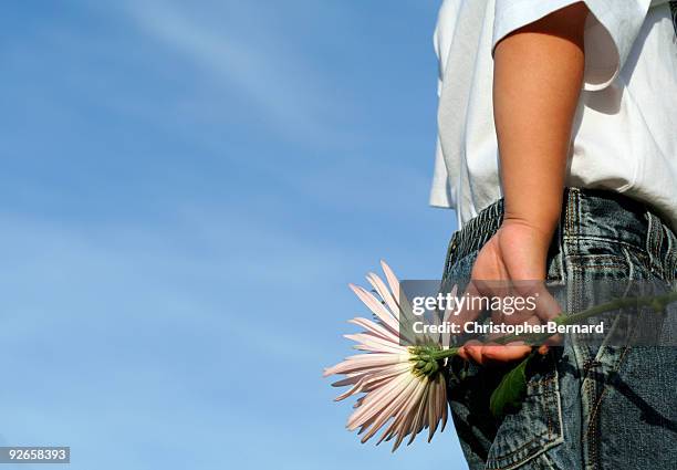 boy holding flower - long stem flowers stock pictures, royalty-free photos & images