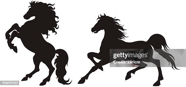 horse - padock stock illustrations