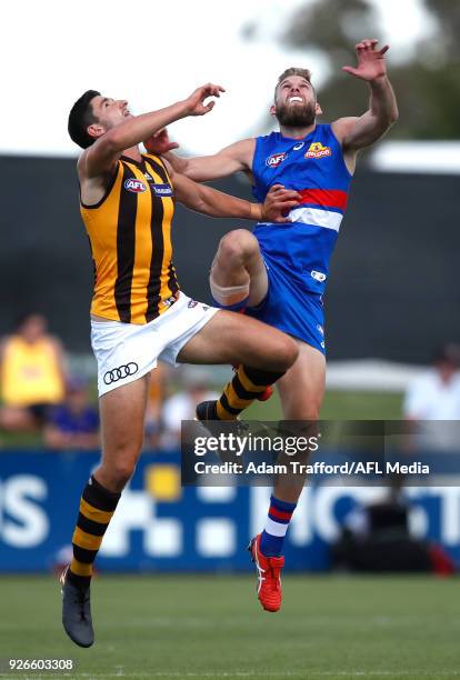 Marc Pittonet of the Hawks and Jackson Trengove of the Bulldogs compete in a ruck contest during the AFL 2018 JLT Community Series match between the...