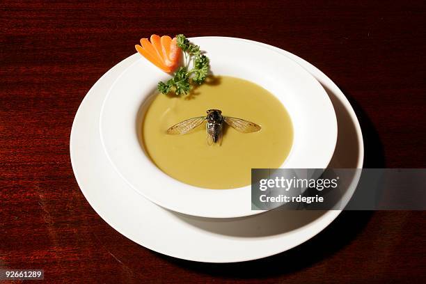 fly in my soup - schoktactiek stockfoto's en -beelden