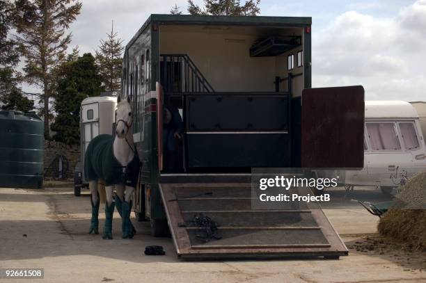 horsebox with horse - paardenwagen stockfoto's en -beelden