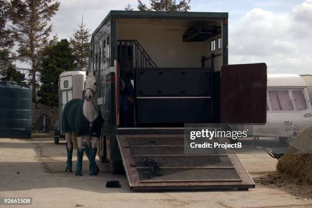 horsebox with horse - hästfälttävlan bildbanksfoton och bilder