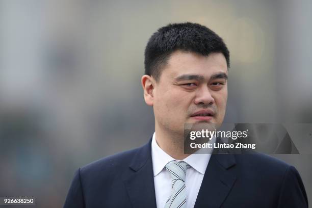 Former NBA star Yao Ming arrives at the Great Hall of the People to attend the opening ceremony of the Chinese People's Political Consultative...