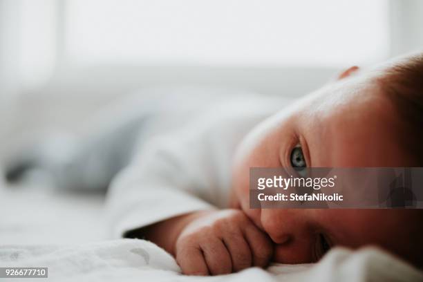 pasgeboren babyjongen liggend op een deken - austrian born stockfoto's en -beelden