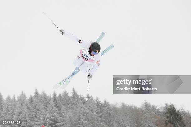 Ludvig Fjallstrom of Sweden competes during the mens moguls on day one of the FIS Freestyle Skiing World Cup Tazawako at Tazawako Ski Resort on March...