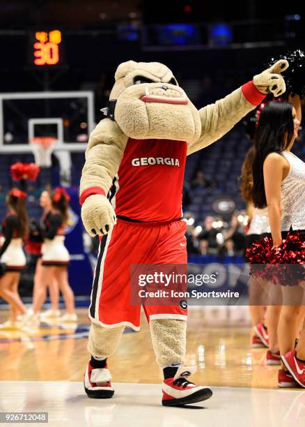 Georgia Bulldogs mascot leads the cheer with the crowd during the fourth period between the Georgia Lady Bulldogs and the Missouri Tigers in a SEC...