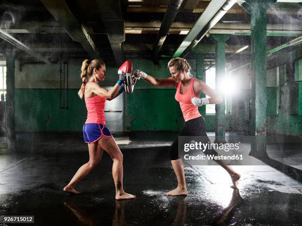 two women having martial arts training - martial arts stock pictures, royalty-free photos & images