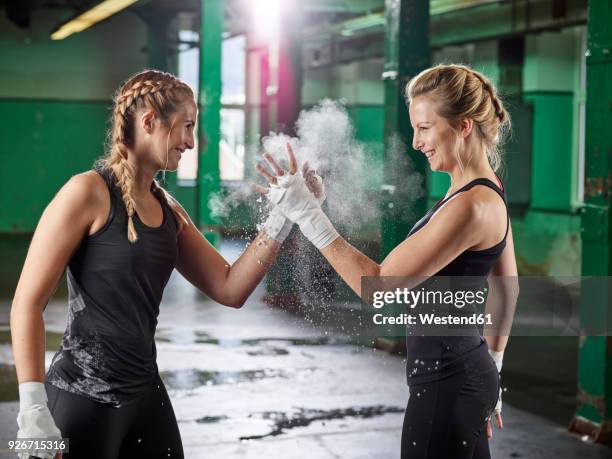 two female martial arts shaking hands after training - boxing training stock-fotos und bilder