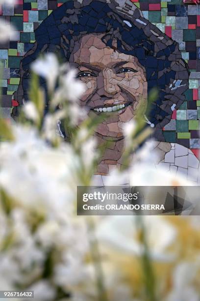 View of a mosaic of indigenous environmentalist Berta Caceres at her grave in La Esperanza, Honduras, on March 3, 2018. Relatives and indigenous...