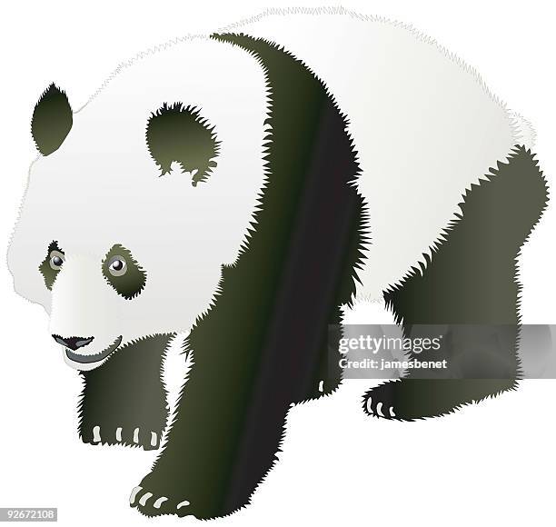 Chinese Panda Vector 627 Chinese Panda Illustration High Res Illustrations - Getty Images