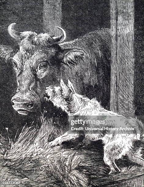 Illustration depicting a dog and a cow keeping warm inside of a manger during the winter. Dated 19th century.