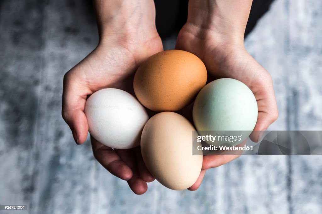 Different eggs, white, brown, light brown and green eggs