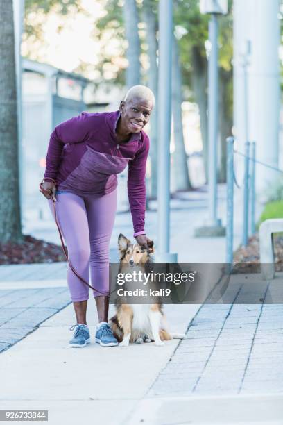 perro camina de senior africano-americano mujer - woman training fotografías e imágenes de stock