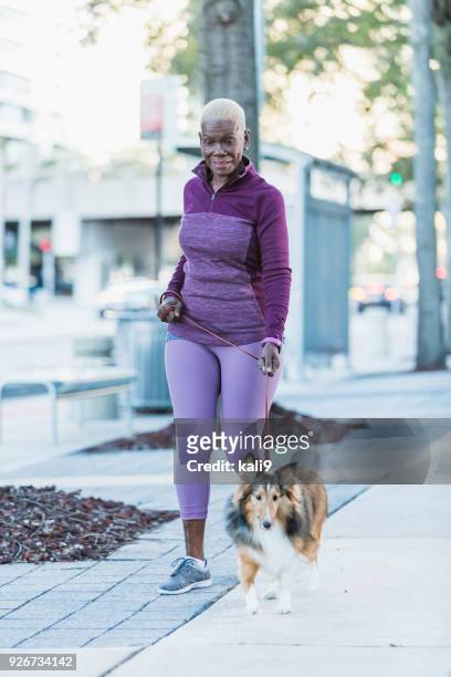 senior african-american woman walking dog - senior people training imagens e fotografias de stock