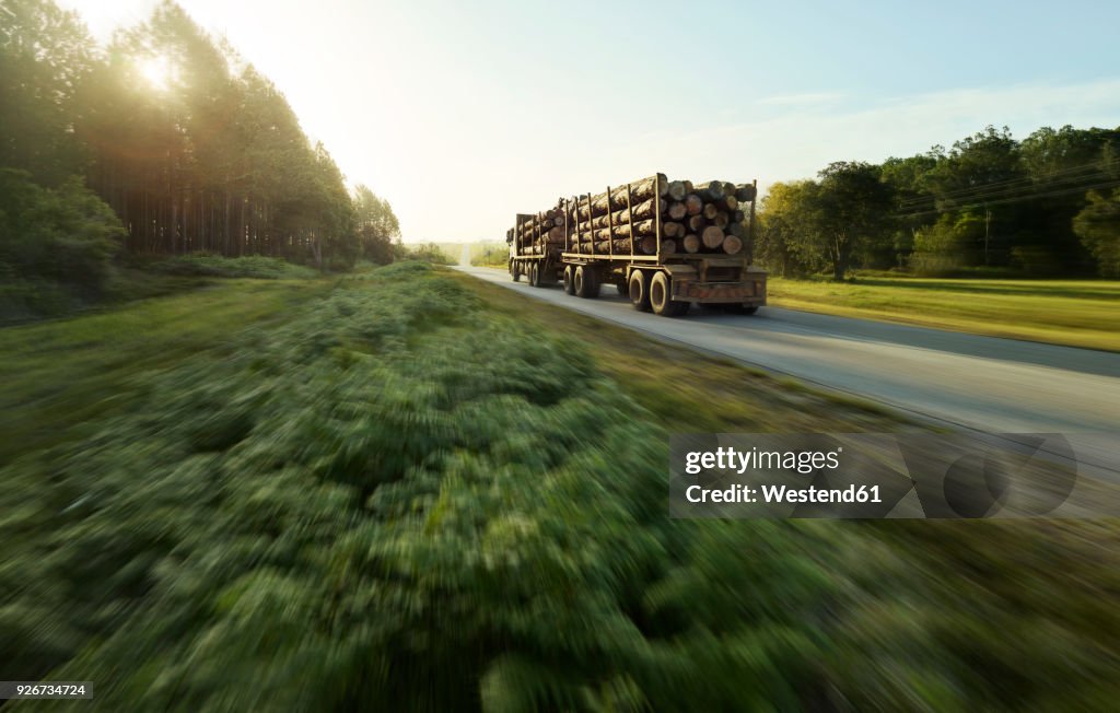 South Africa, Tsitsikamma National Park, Garden Route, wood transport