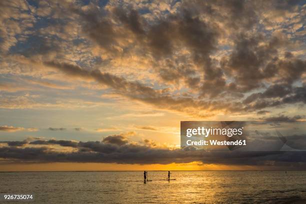 stand up paddle boarding - cielo romantico foto e immagini stock