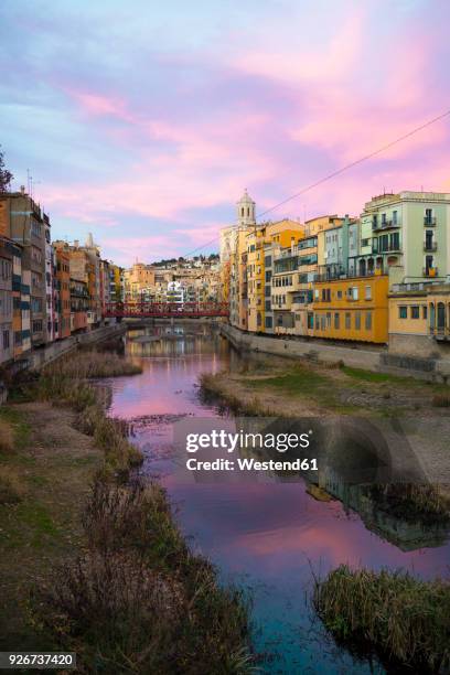 spain, catalunya, girona, cathedral and houses along the river onyar in the evening - fiume onyar foto e immagini stock