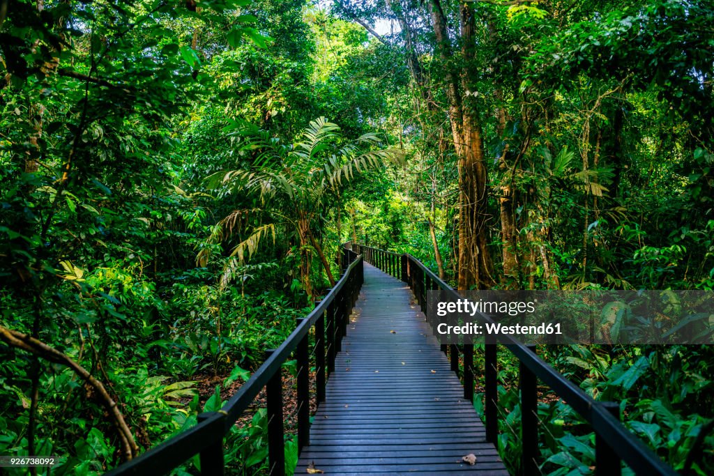 Costa Rica, Limon, Wooden pathway in Cahuita National Park