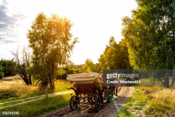 germany, lower saxony, lueneburg heath, horse-drawn carriage - luneburger heath stock pictures, royalty-free photos & images